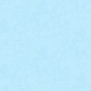 Shadows Col. 105 Light Blue